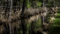 Blackwater National Wildlife Refuge, Dorchester, MD 