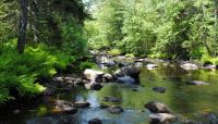 Camden Hills State Park-Lower Sagamore Village, Camden, ME