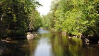 Camden Hills State Park-Lower Sagamore Village, Camden, ME