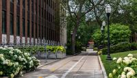 Scholars Walk - University of Minnesota, Minneapolis, MN