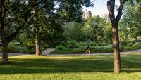 Loring Park, Minneapolis, MN