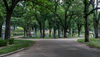 Lakewood Cemetery, Minneapolis, MN