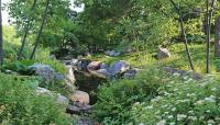 The Charlotte Partridge Ordway Japanese Garden, St. Paul, MN