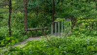 Eloise Butler Wildflower Garden and Bird Sanctuary, Minneapolis, MN