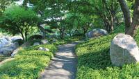 The Charlotte Partridge Ordway Japanese Garden, St. Paul, MN