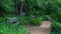 Eloise Butler Wildflower Garden and Bird Sanctuary, Minneapolis, MN