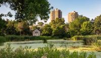 Loring Park, Minneapolis, MN