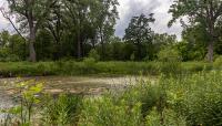 Coldwater Spring, Minneapolis, MN