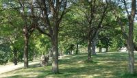 Farview Park, Minneapolis, MN