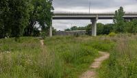 Bruce Vento Nature Sanctuary, St. Paul, MN