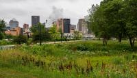 Harriet Island Regional Park, St. Paul, MN