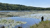 Lilydale Regional Park, St. Paul, MN