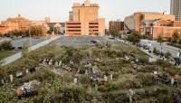 Pulitzer Arts Foundation, St. Louis, MO