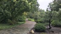 Missouri Botanical Garden - Japanese Garden, St. Louis, MO