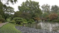 Missouri Botanical Garden - Japanese Garden, St. Louis, MO