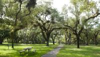 Matheson Hammock Park, Coral Gables, FL