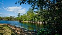 Matheson Hammock Park, Coral Gables, FL