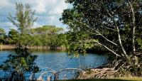 Matheson Hammock Park, Coral Gables, FL