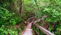 Photo courtesy McKinney Falls State Park:: ::The Cultural Landscape Foundation