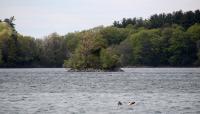 Middlesex Fells Reservation, Stoneham, MA