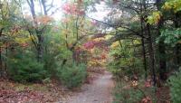 Middlesex Fells Reservation, Stoneham, MA