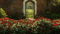 Photo courtesy of The Montpelier Foundation:: ::The Cultural Landscape Foundation