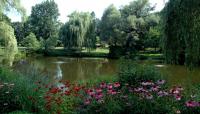 Mount Auburn Cemetery, Cambridge, MA