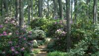 Mount Auburn Cemetery, Cambridge, MA