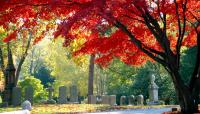 Mount Auburn Cemetery, Cambridge, MA