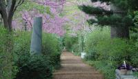 Mount Auburn Cemetery, Cambridge, MA