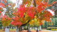 Mount Pleasant Cemetery, Toronto, ON