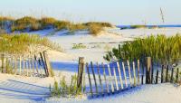 Cape Hatteras National Seashore, Outer Banks, NC