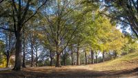 Chavis Park, Raleigh, NC