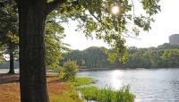 Weequahic Park, Newark, NJ