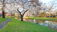 Warinanco Park, Union County, NJ