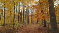 Watchung Reservation, Union County Park system, NJ