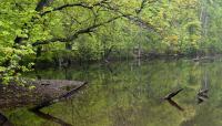 South Mountain Reservation, West Orange, NJ