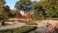 Central Park Conservatory Garden, Central Park, New York City, NY 