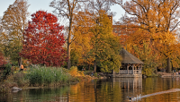 Prospect Park, Brooklyn, NY