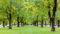 Buffalo Park and Parkway System, Buffalo, NY