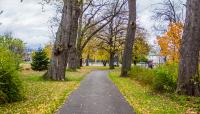 Martin Luther King, Jr. Park, Buffalo, NY