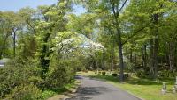 Memorial Cemetery, Cold Harbor Spring, NY