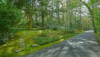 Memorial Cemetery of St. John's Church, Cold Harbor Spring, NY