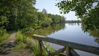 Bayard Cutting Arboretum State Park, Great River, NY