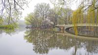 Central Park Lake, Central Park, New York City, NY