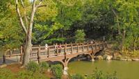 Central Park Lake, Central Park, New York City, NY