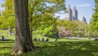 Central Park, New York City, NY