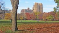 Central Park, New York City, NY