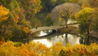 Central Park, New York City, NY