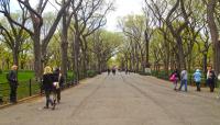 Central Park, New York City, NY